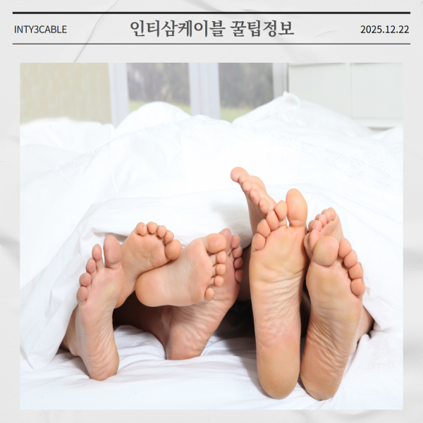 d5625e309a42d78ade1800e6c96cec92_1766383284_0469.png